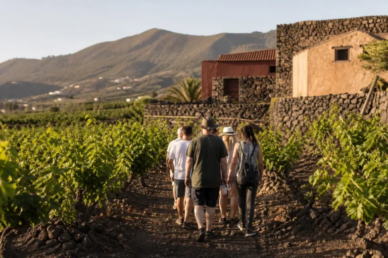 Ruta de vinos en Tenerife