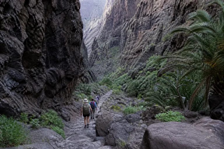 Senderismo por el barranco de Masca