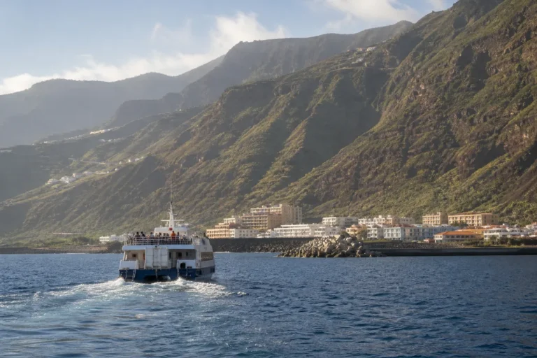 Excursión a La Gomera desde Tenerife