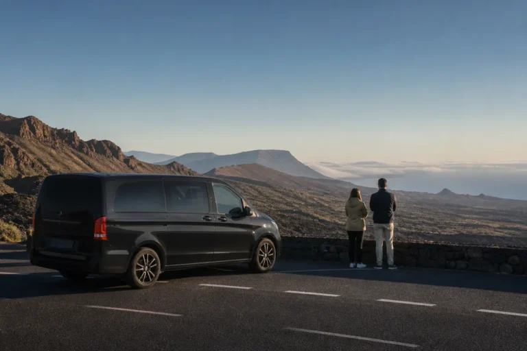 Tour privado a medida en Tenerife