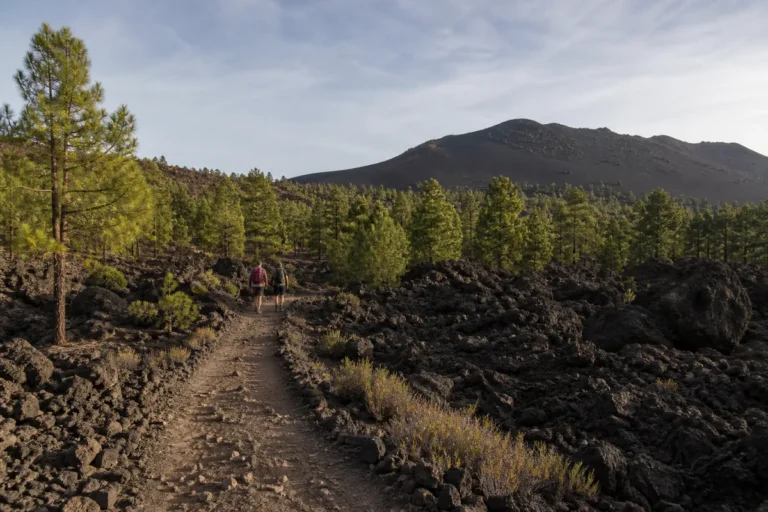 Senderismo volcánico en Tenerife