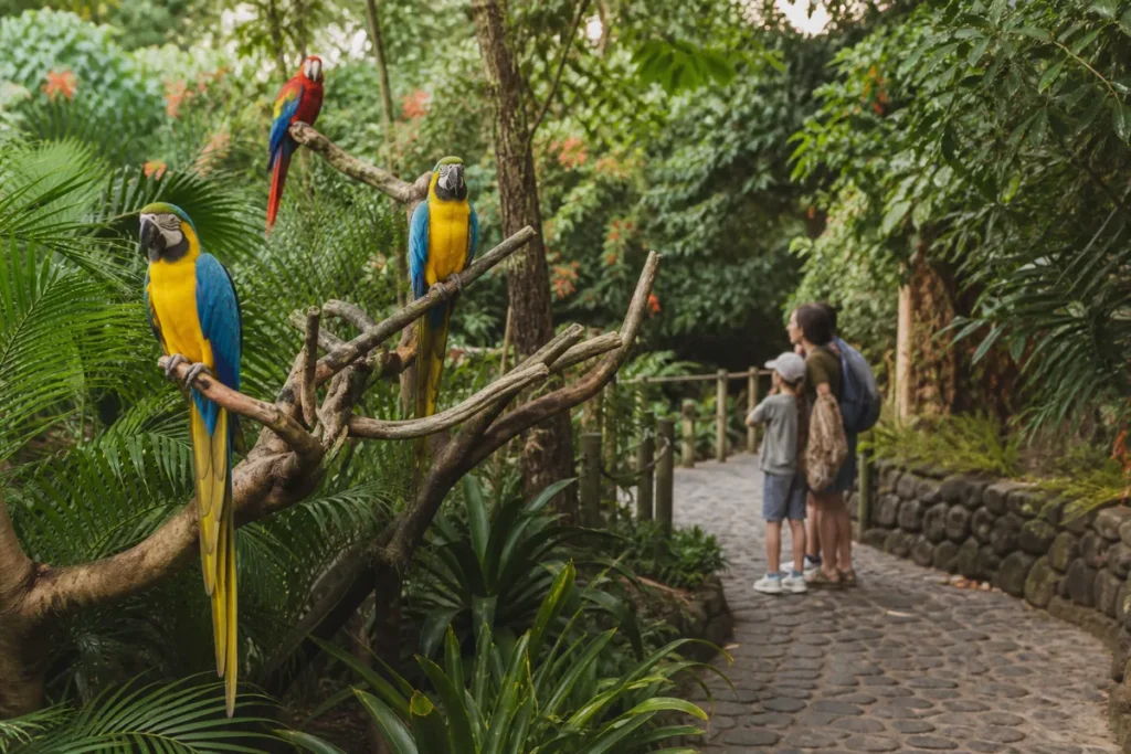 Entradas para Loro Parque
