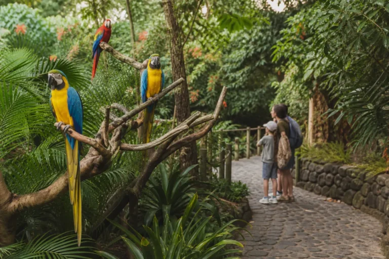 Entradas para Loro Parque